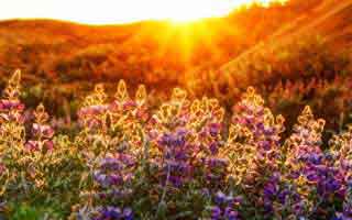 Momentum: What It Is and Why It Matters